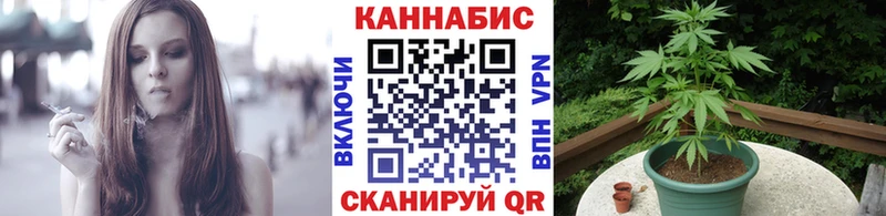 МЕФ Ардон