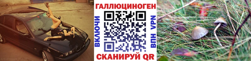 Купить Ардон Псилоцибиновые грибы Magic Shrooms